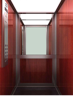 Гидравлический лифт для коттеджа Гидравлический лифт Classic Athena A310